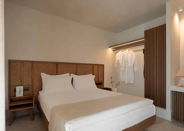 Polis Of Naxos Stylish Aparthotel 4*